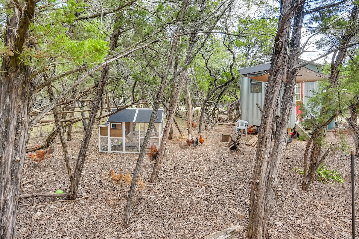 Wooded area near The Cabin at Eco Valley featuring free-ranging chickens, a small chicken coop, and a compact cabin nestled among trees, highlighting a rustic and sustainable farm setting