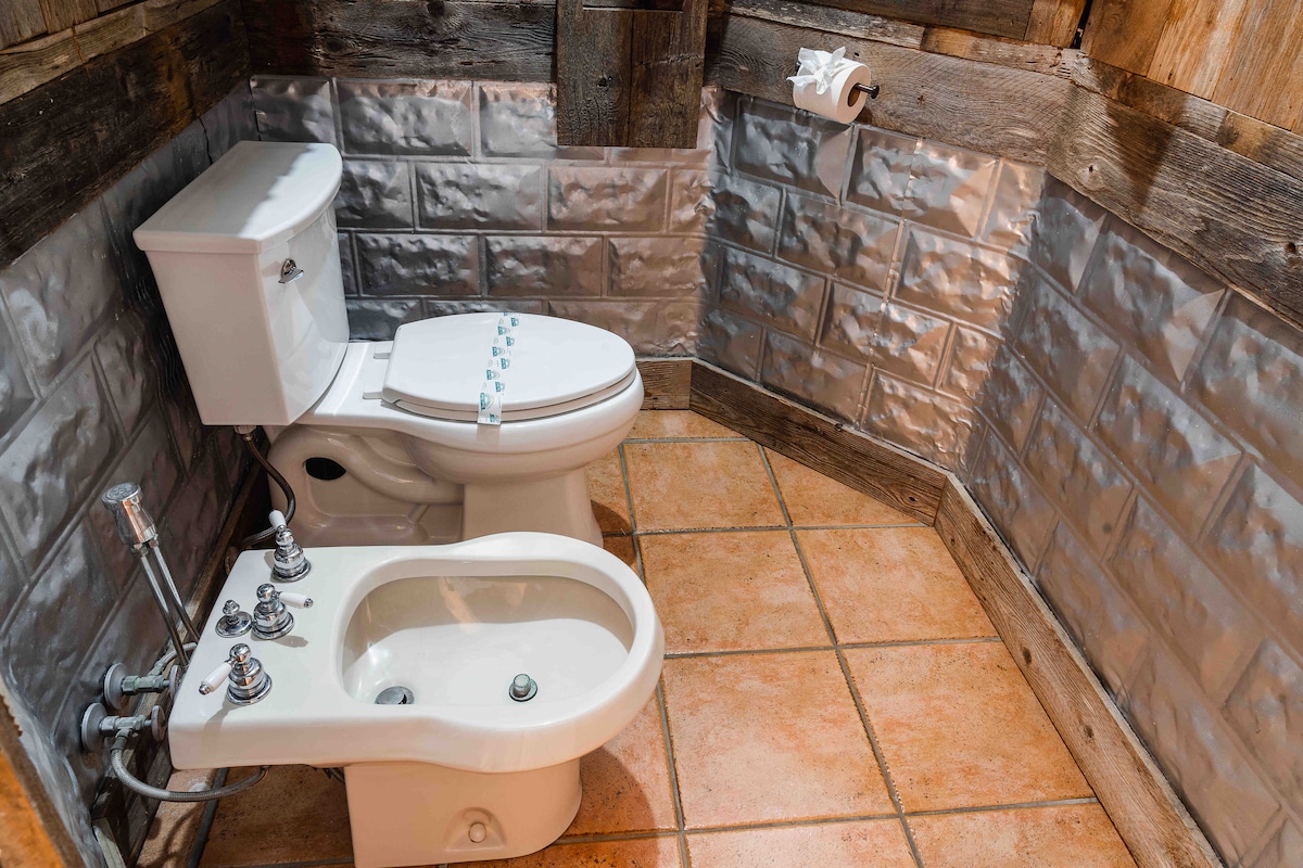 Casa Blanco rustic bathroom with toilet and bidet.