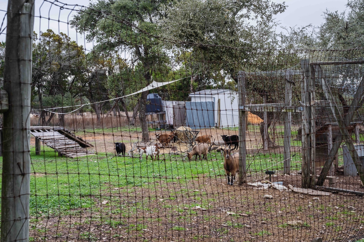 Goats grazing inside a fenced pasture on the property, with trees, shelters, and rustic farm structures in the background