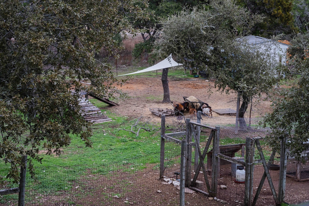 Fenced animal area on The Villa grounds with goats, trees, and a rustic outdoor setting.