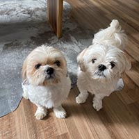 Photo of Nataile, a guest who left a review for the Eco Valley Airbnb