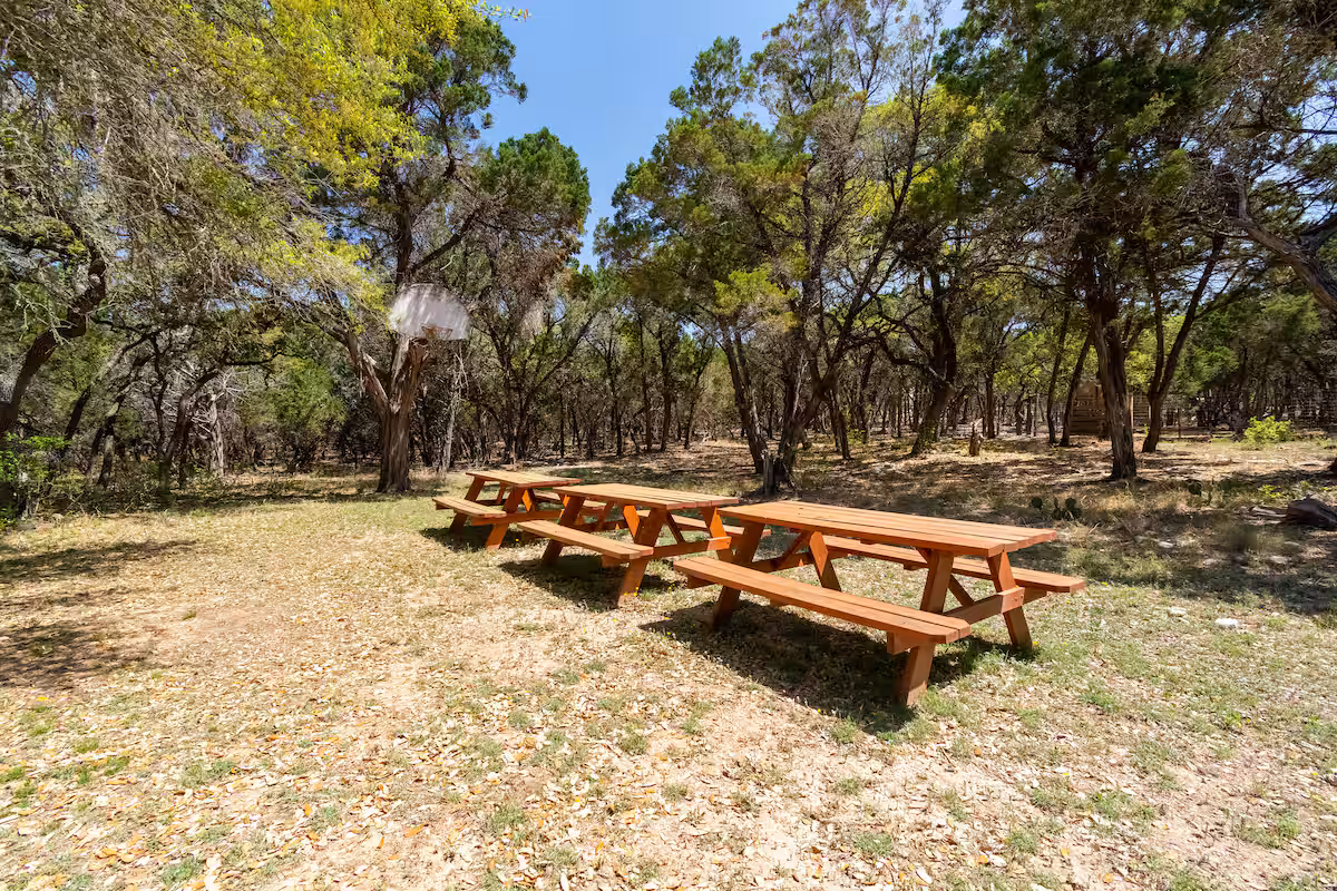 Three wooden picnic tables arranged in a shaded forest clearing surrounded by native trees at Eco Valley
