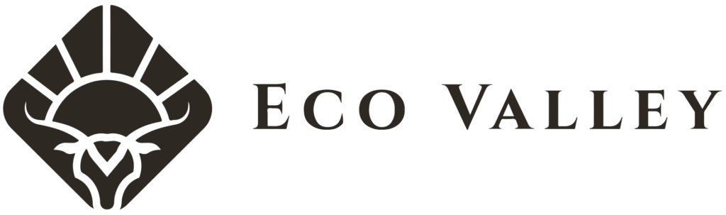 Eco Valley Austin Vacation Rentals